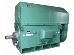 陵水Y系列6KV高压电机